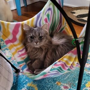 Plush Multicolor Pet Hammock - Cozy Pet Bed